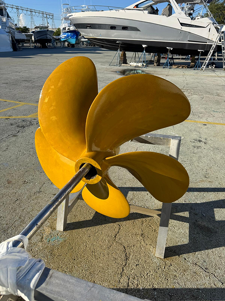 9298d231-92a4-4e70-87ca-082ff12e949e_5576